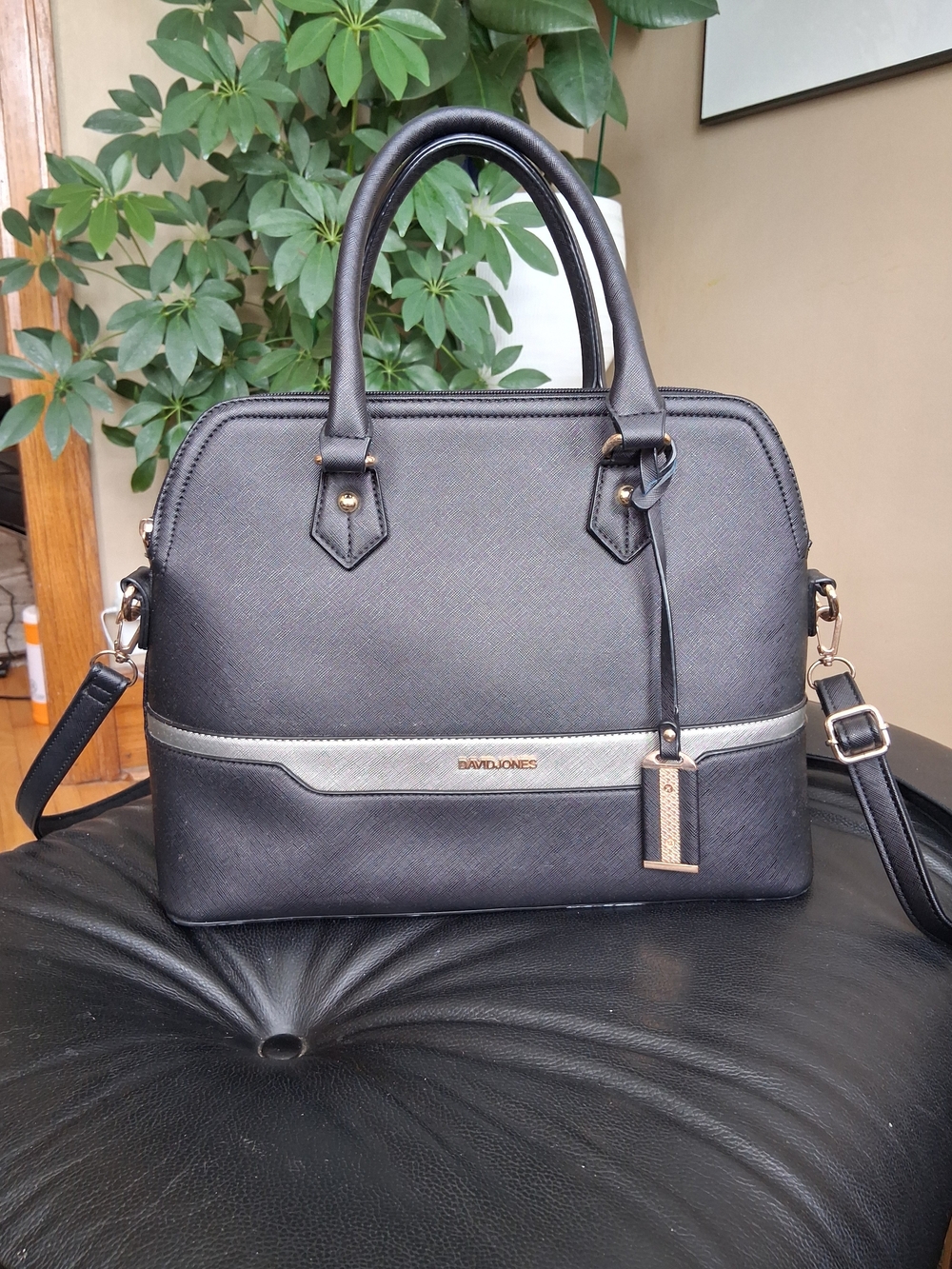 David Jones Paris Bugatti Handbag